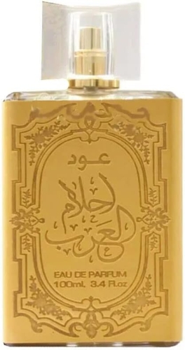 51p4+pdjqVL._AC_SX679_.jpg
