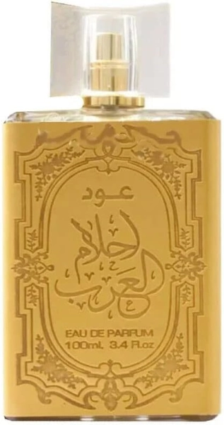51p4+pdjqVL._AC_SX679_.jpg