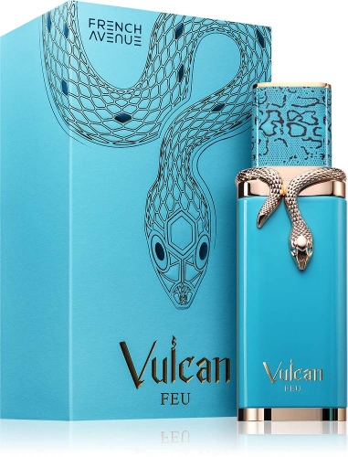 vulcan-feu___250811 (1).jpg