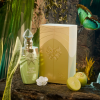 Jardin-des-Papillons-Perfume-100ml-EDP-Paris-Corner-176691234.png