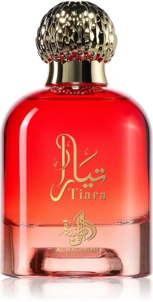 tiara___240930.webp