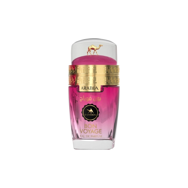 ARABIA-BON-VOYAGE-25-ML-WT-BOX-scaled.jpg