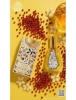 fragrance-world-nudo-exotic-flower-edp-50ml.jpg